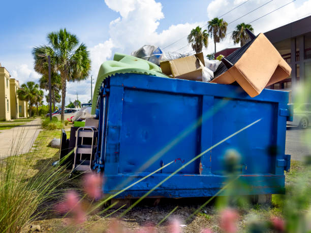 Yard Cleanup Services in Del Aire, CA